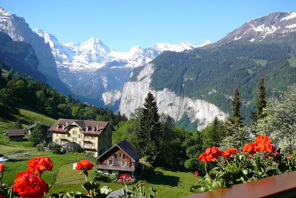 Chalet Acheregg Wengen Exterior foto